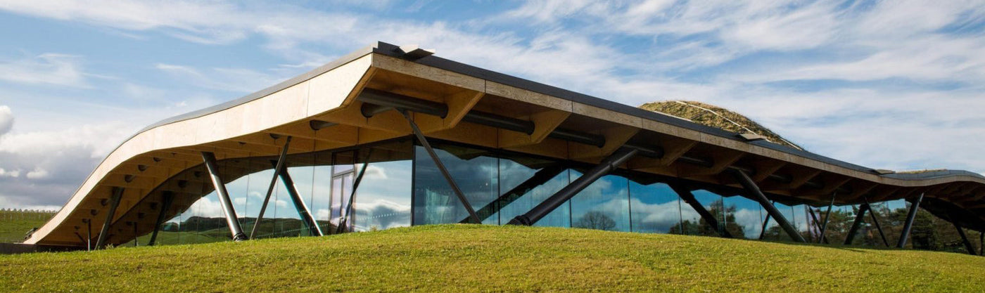 Macallan Single Malt Whisky