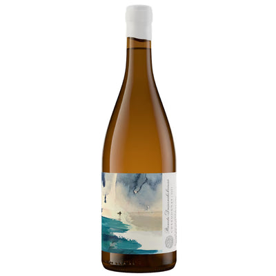 Trizanne Benede-Duivenshokrivier Chardonnay 2024 South African Wine